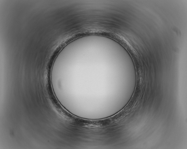 X0000112870447200908211033