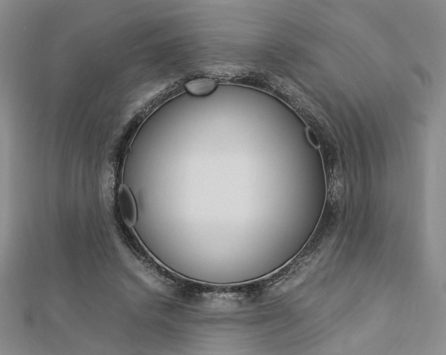 X0000112870448200908211033