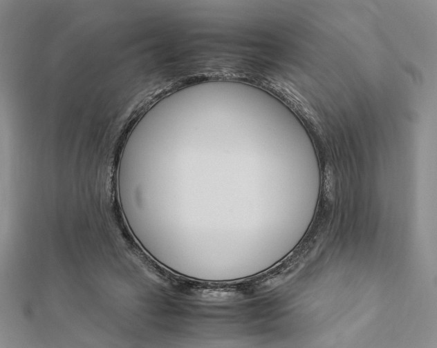 X0000112870449200908211033