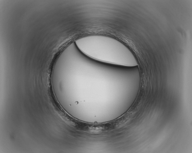 X0000112870450200908211033
