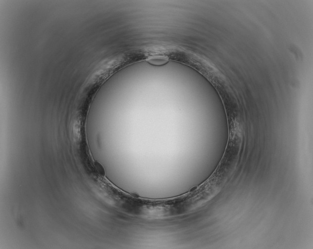 X0000112870452200908211033