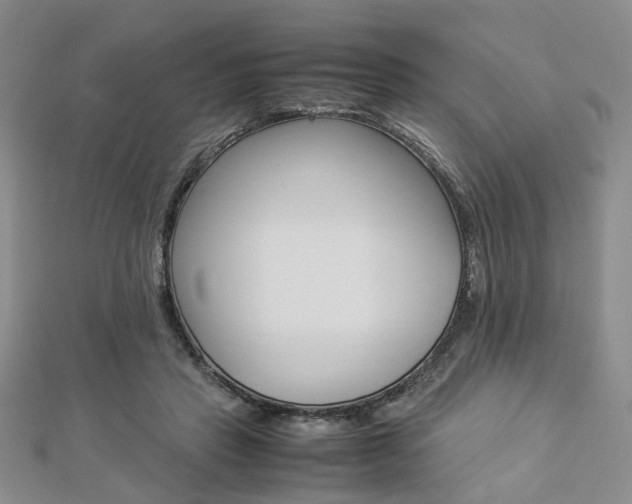 X0000112870453200908211033