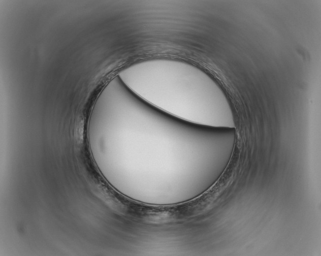 X0000112870454200908211033