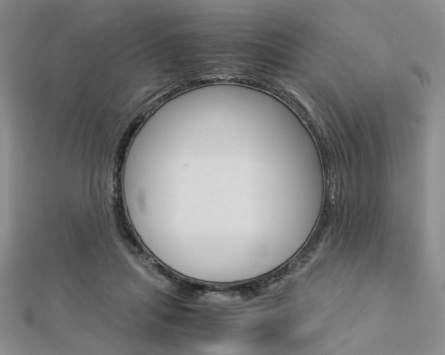 X0000112870455200908211033