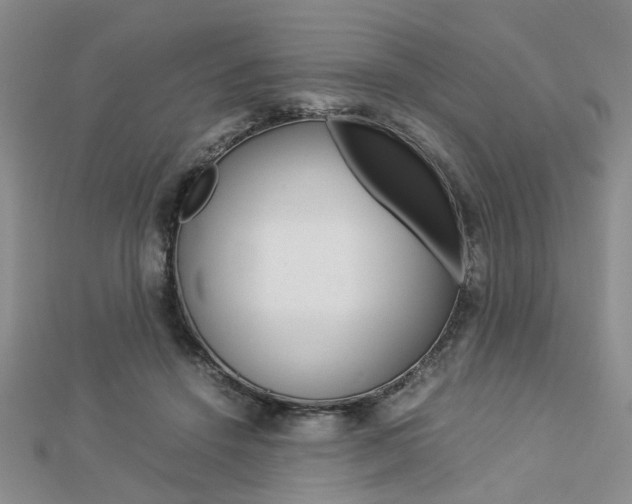 X0000112870456200908211033