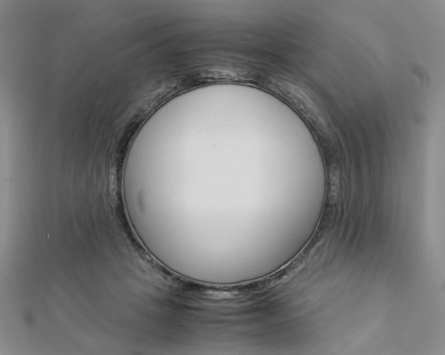 X0000112870457200908211033