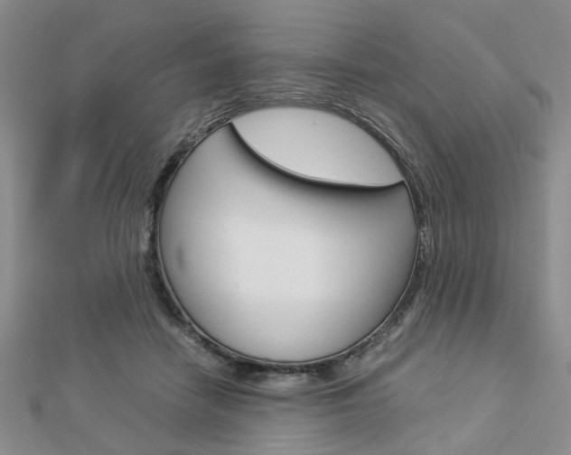 X0000112870458200908211033