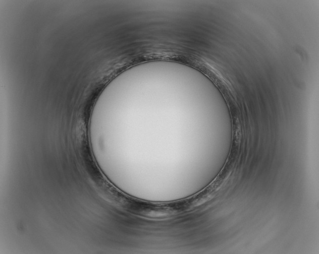 X0000112870459200908211033