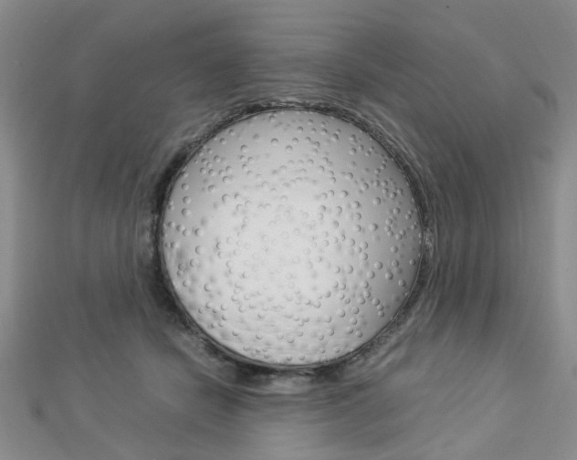 X0000112870462200908211033