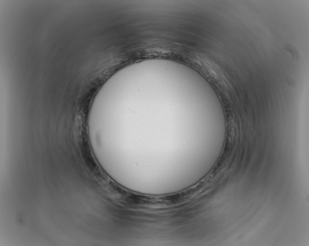 X0000112870463200908211033