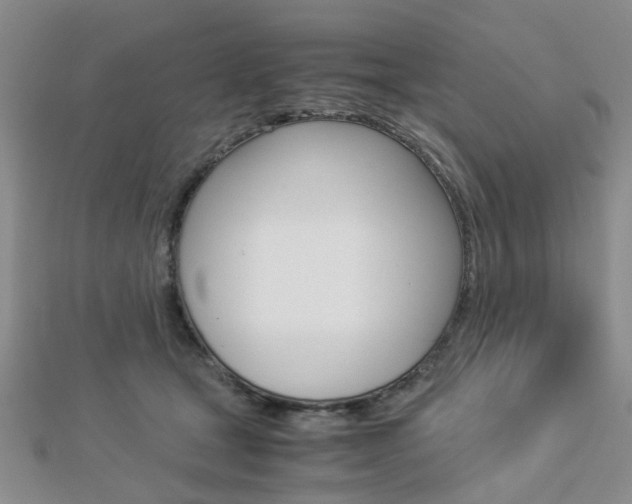 X0000112870465200908211033