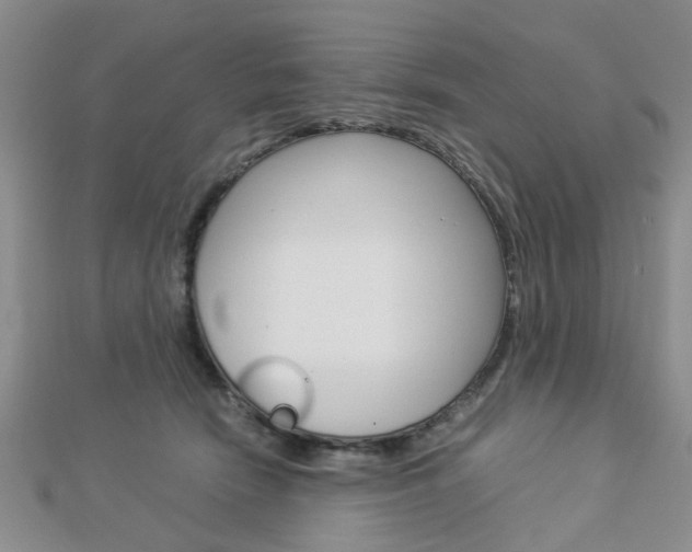 X0000112870466200908211033