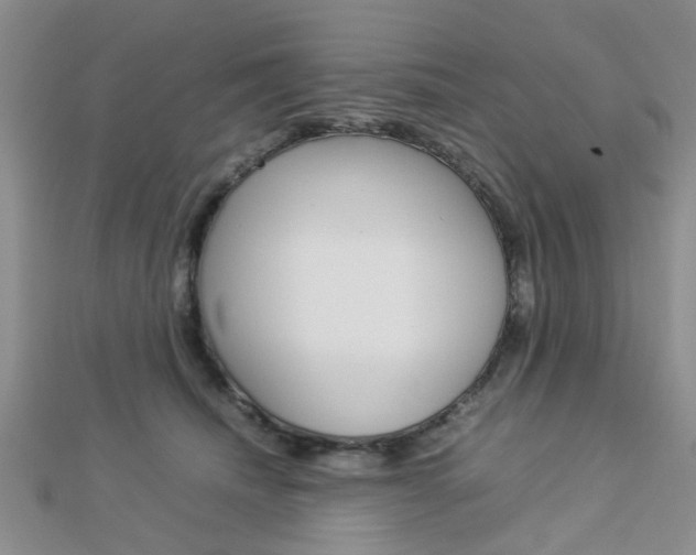 X0000112870468200908211033