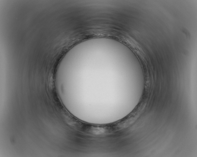 X0000112870469200908211033
