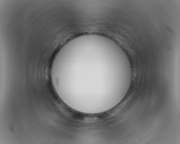 X0000112870470200908211033