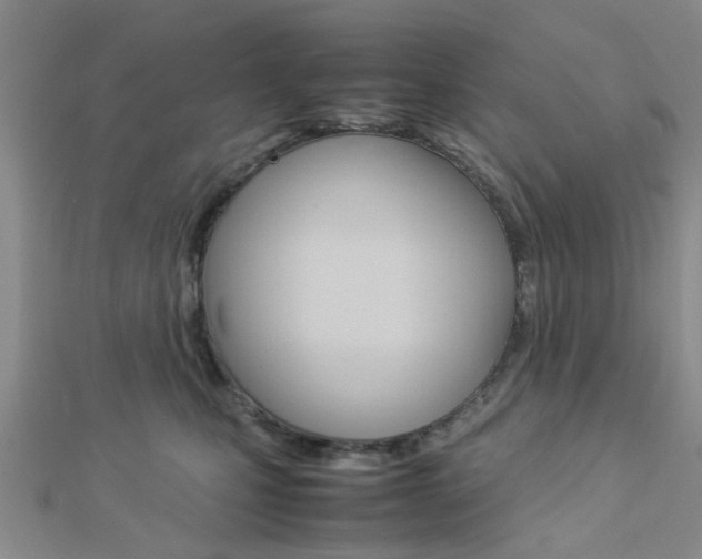 X0000112870471200908211033