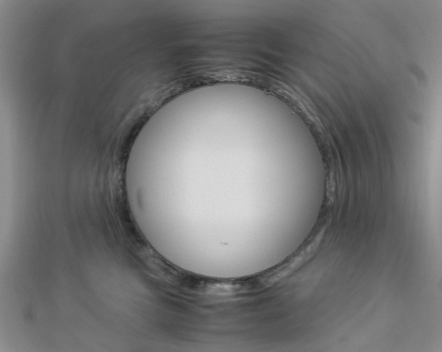 X0000112870473200908211034