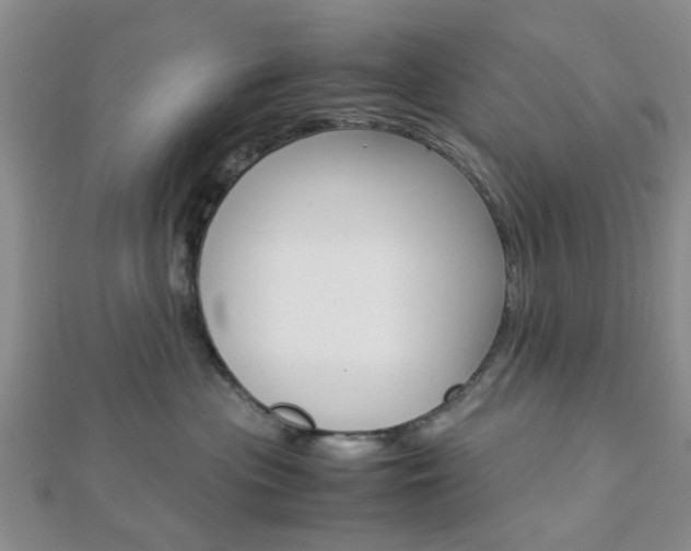X0000112870477200908211034