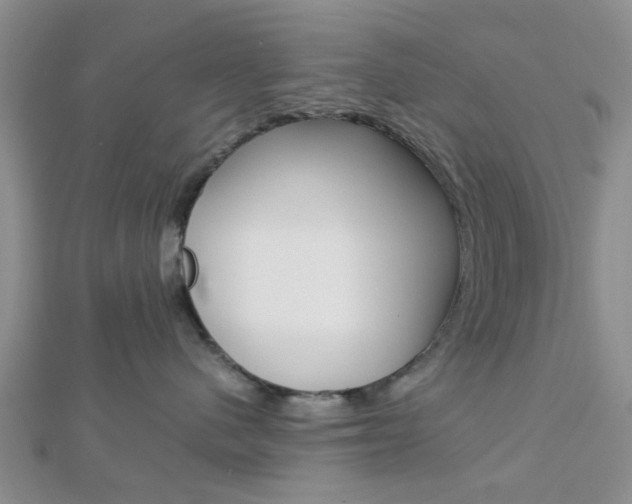 X0000112870480200908211034