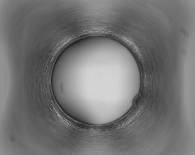 X0000112870481200908211033