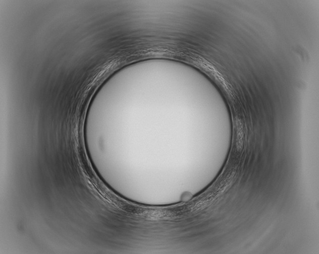 X0000112870482200908211033