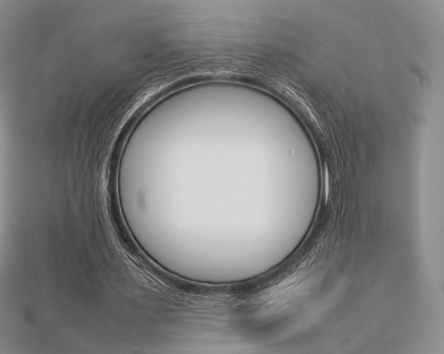 X0000112870483200908211033