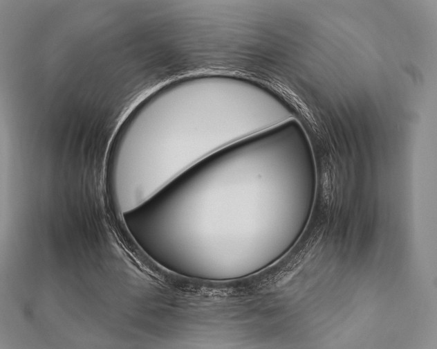 X0000112870484200908211033