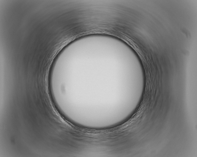 X0000112870485200908211033