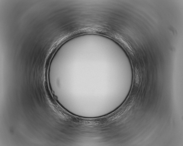 X0000112870486200908211033