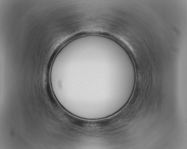 X0000112870487200908211033