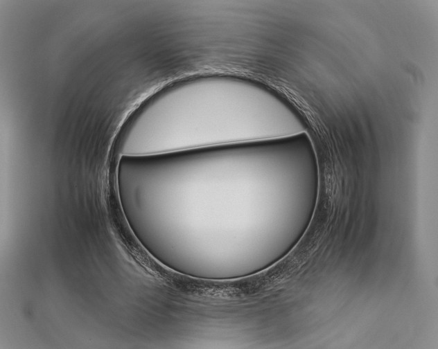 X0000112870488200908211033