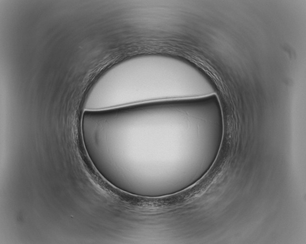 X0000112870489200908211033