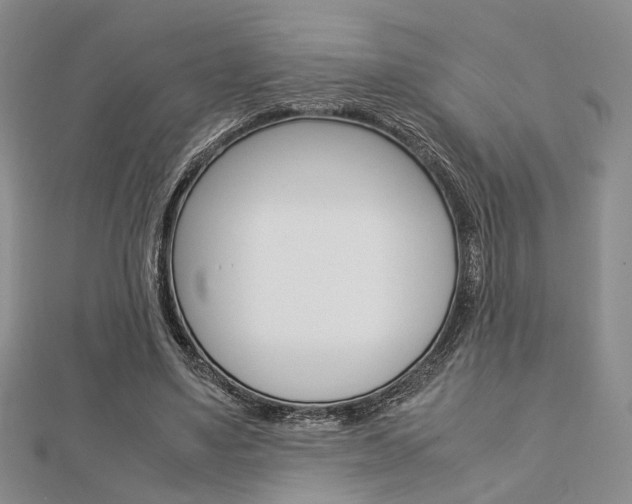 X0000112870491200908211033