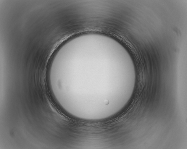 X0000112870492200908211033