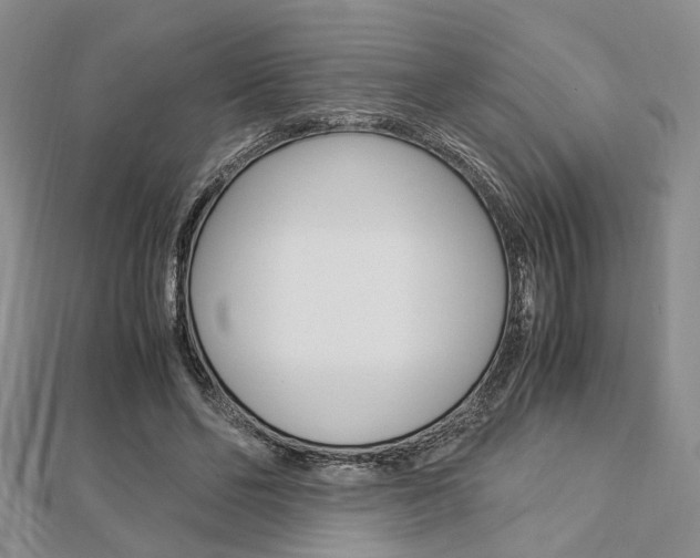 X0000112870494200908211033