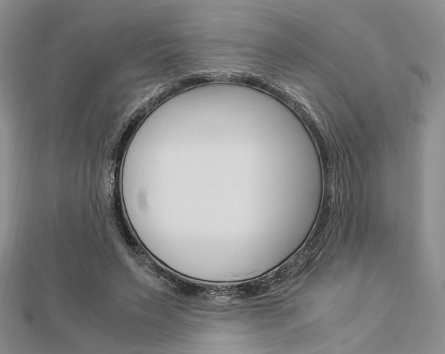 X0000112870495200908211033