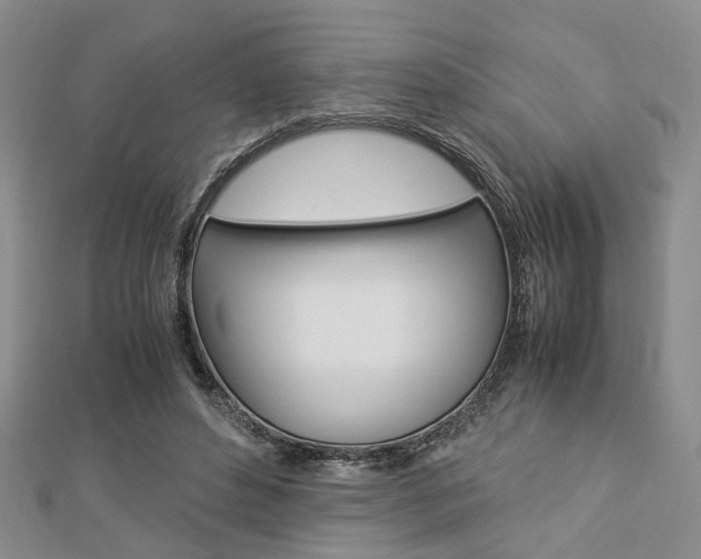 X0000112870496200908211033