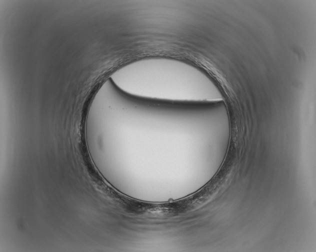 X0000112870497200908211033