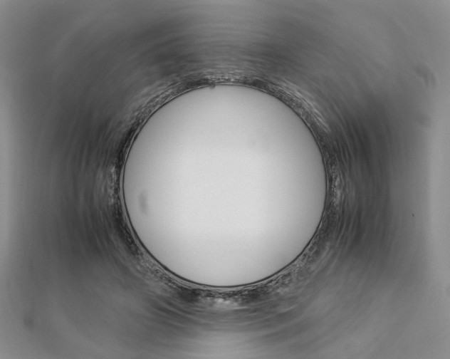 X0000112870498200908211033