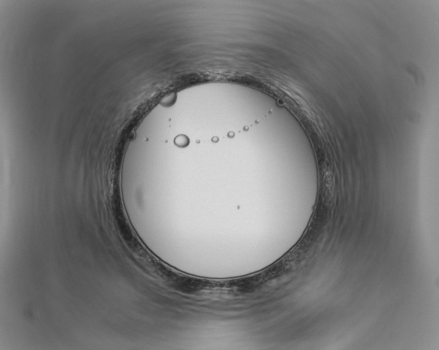 X0000112870499200908211033