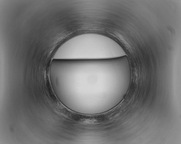 X0000112870500200908211033