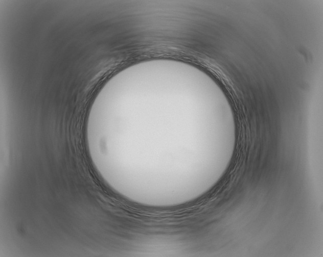 X0000112870501200908211033