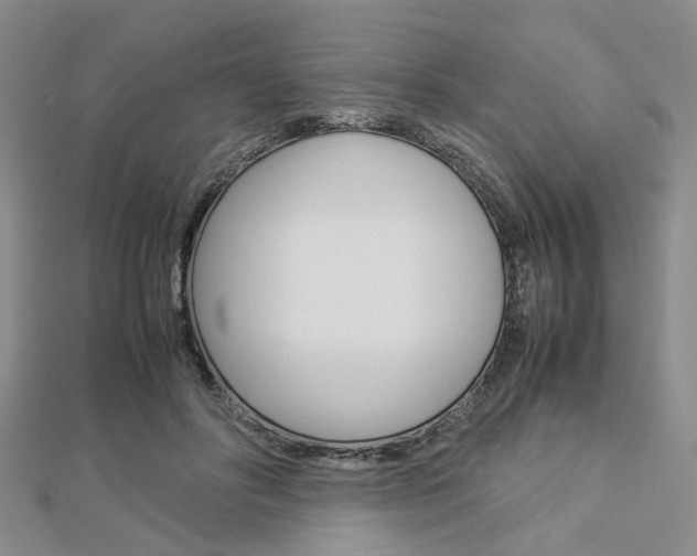 X0000112870502200908211033