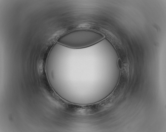 X0000112870504200908211033