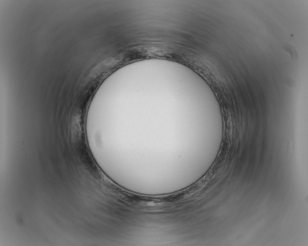 X0000112870506200908211033