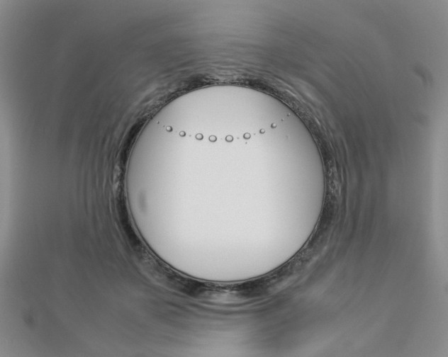 X0000112870507200908211033