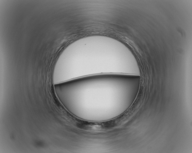 X0000112870509200908211033