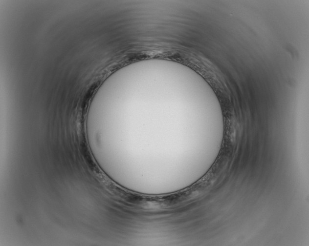 X0000112870510200908211033