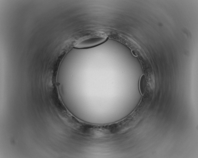 X0000112870512200908211033