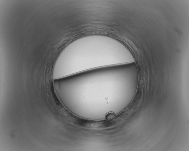 X0000112870513200908211033